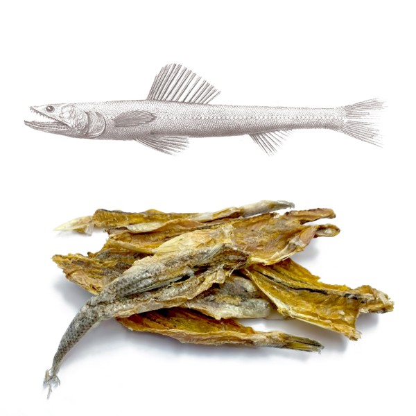 Pesce Lucertola (100 gr) - Ligo Snack Ligo 9,99 €